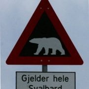 Isole Svalbard - Longyearbyen - cartello pericolo orsi