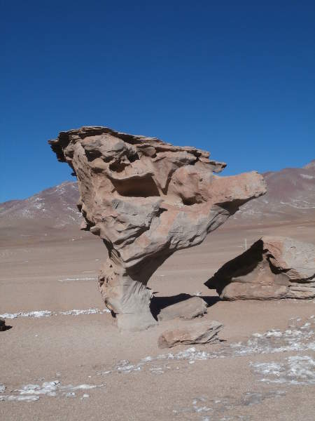 Bolivia-Reserva-Eduardo-Avaroa-Arbol-de-piedra