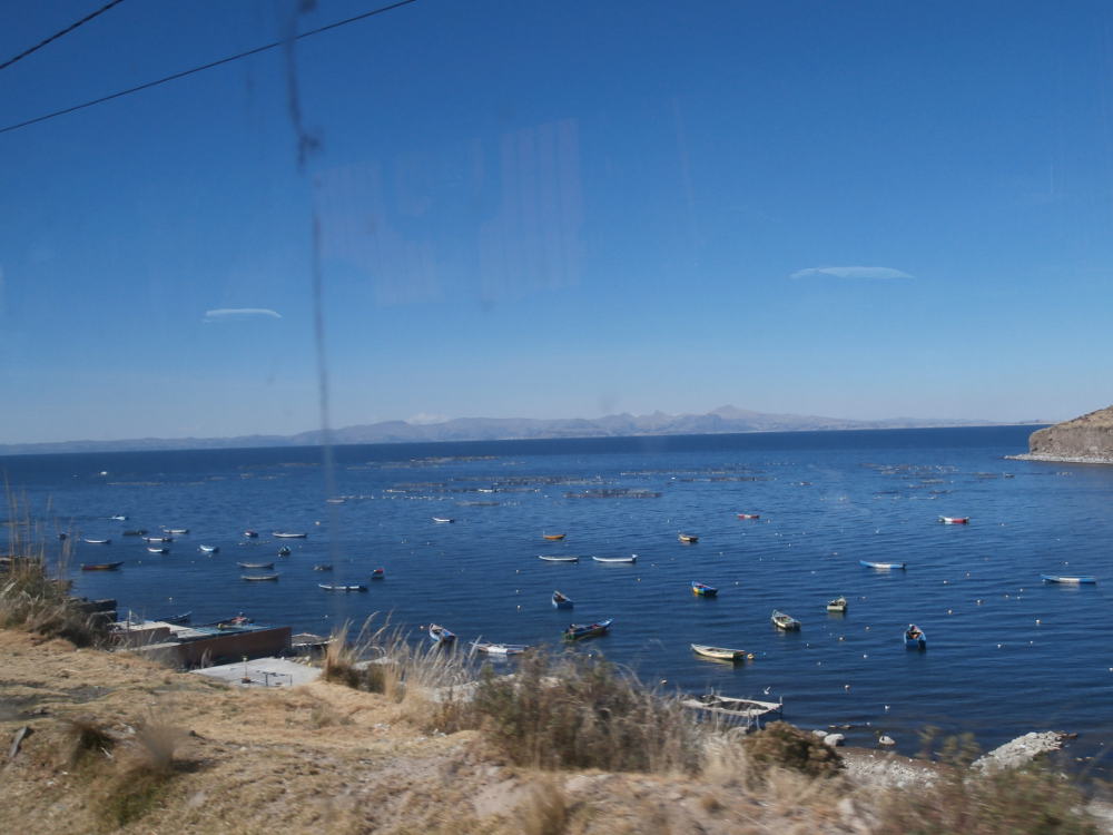 Bolivia - Lago Titicaca