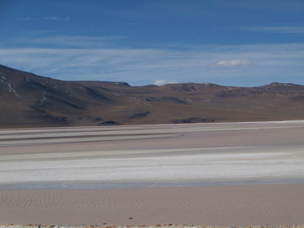 Bolivia-Reserva-Eduardo-Avaroa-Laguna-Colorada