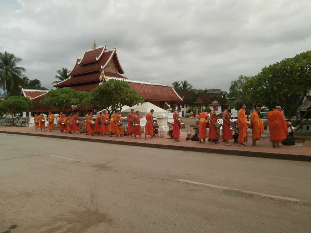 Laos - Luang Prabang - cerimonia del Tak Bat