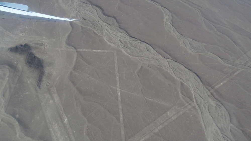 Peru - Linee di Nazca - balena vista dall'aereo