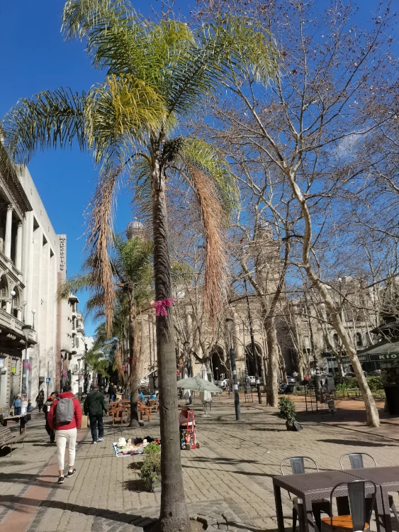 Cathedral Plaza de la Constitución - Montevideo Uruguay