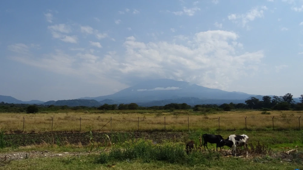 paesaggio Monte Kilimangiaro