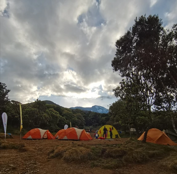 scalata del Monte Kilimangiaro - Machame Route giorno 2 - sveglia al campo
