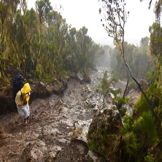 scalata del Monte Kilimangiaro - Machame Route giorno 5 - diluvio e fango