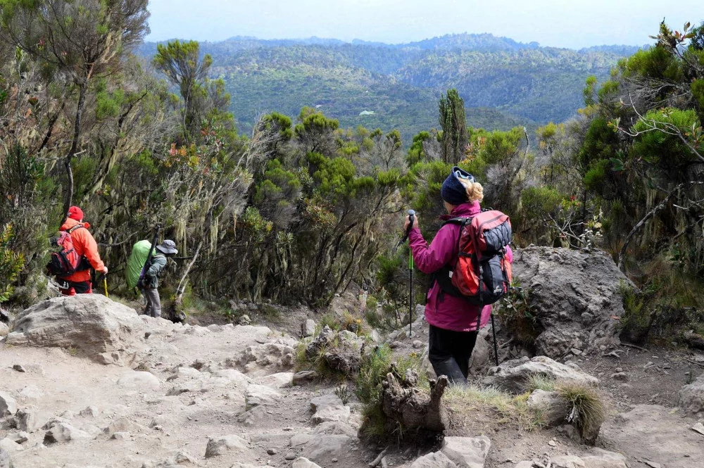 scalata del Monte Kilimangiaro - Machame Route giorno 5 - discesa verso Mweka Camp