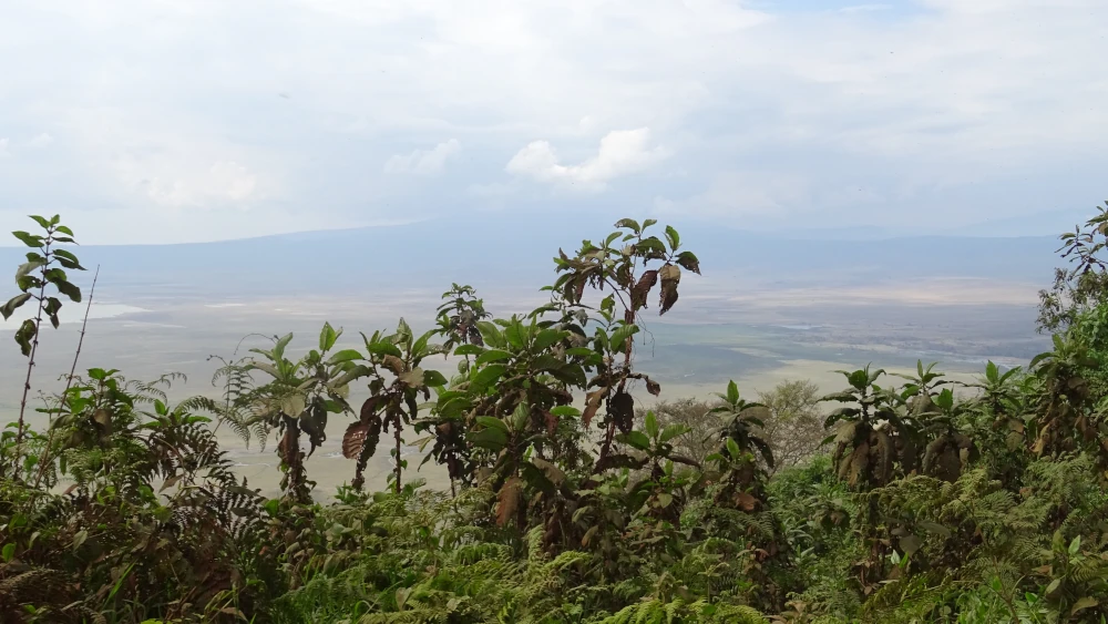 safari in Tanzania - Ngorongoro - paesaggio dall'alto