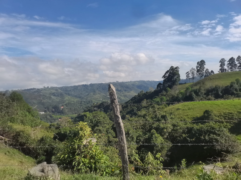 Eje Cafetero Colombia