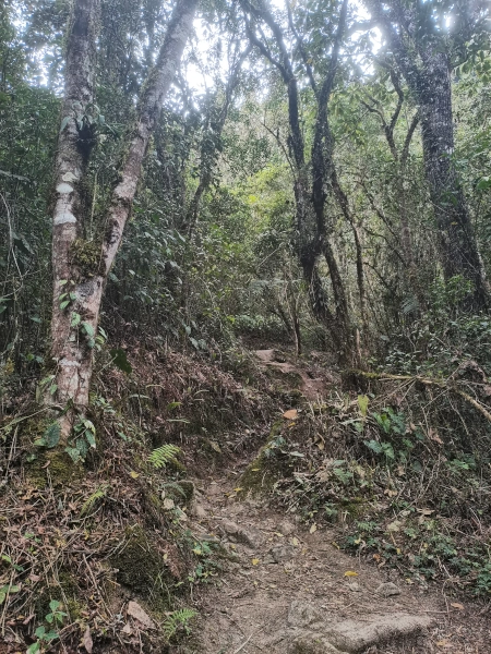 Trekking nel Cerro Morrogacho
