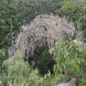 Sima de Las Cotorras, Chiapas - Messico